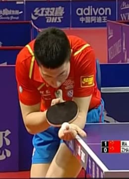 选赛中得到 选赛中得到